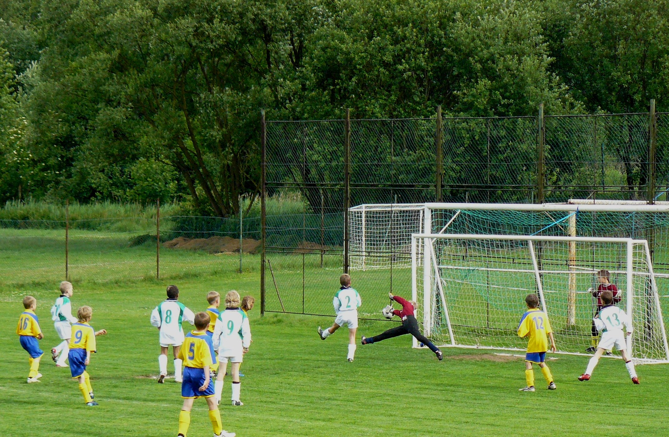 P1020205.JPG
