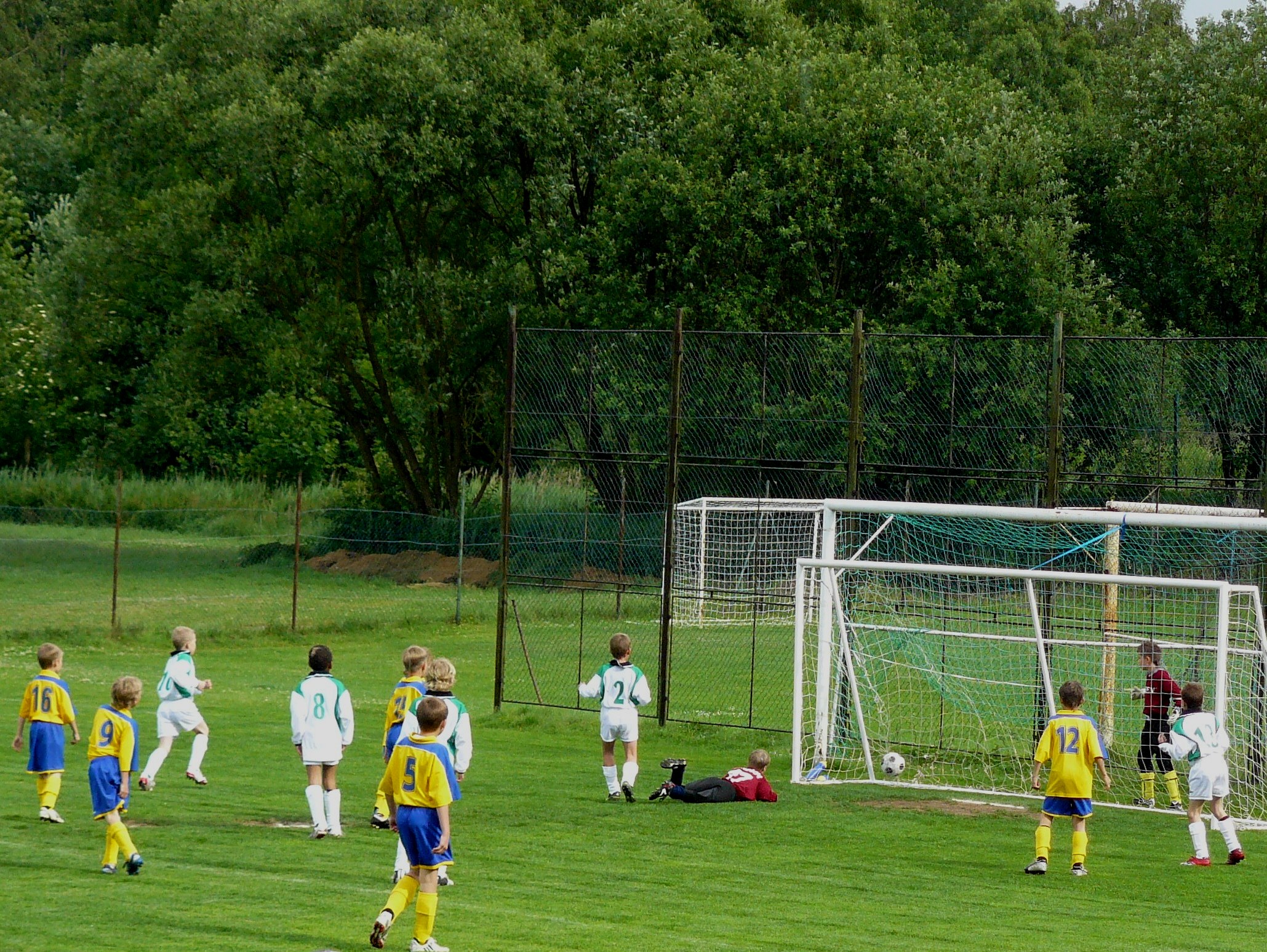 P1020206.JPG