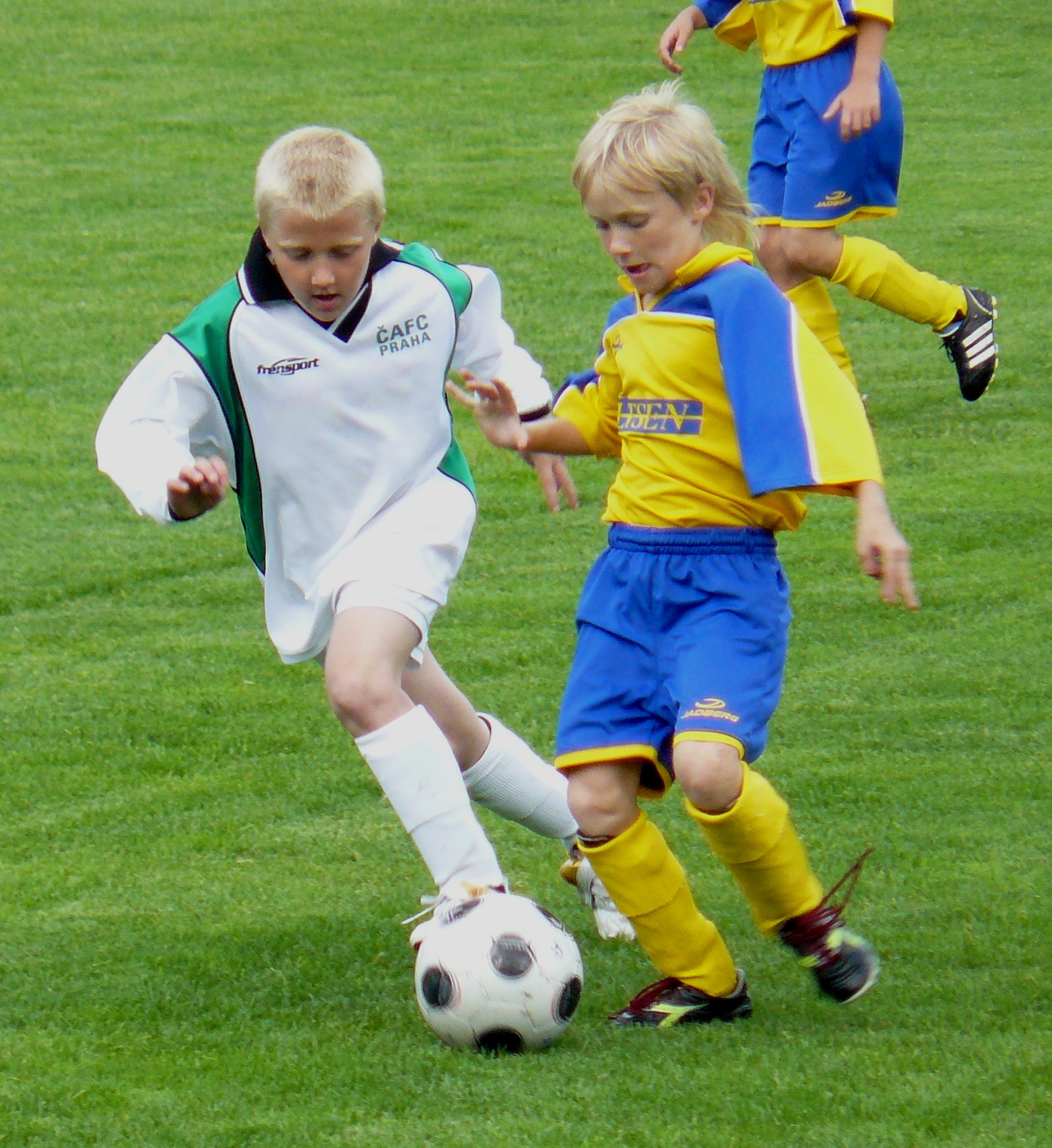 P1020208.JPG