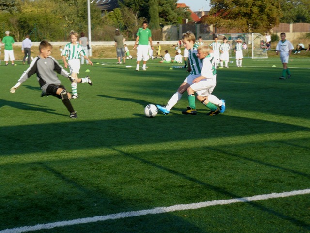 P1040351.JPG