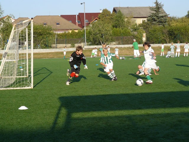 P1040354.JPG