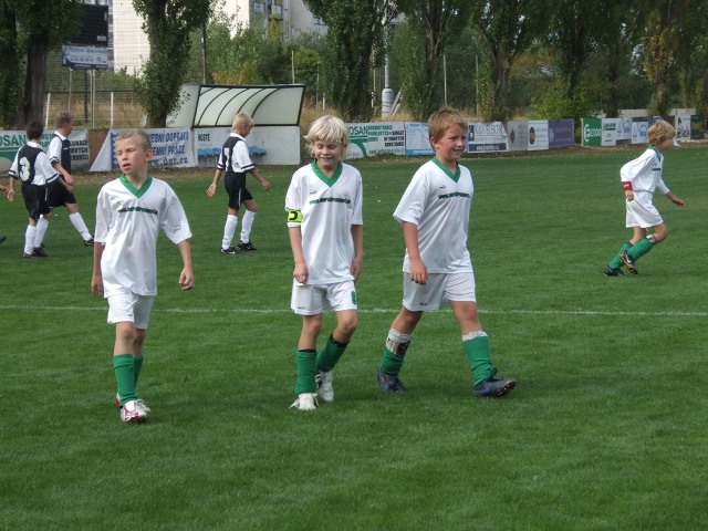  7.JPG