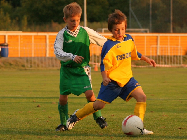 i8330.jpg